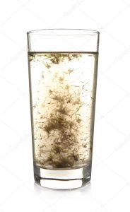 Vida con interacción humana